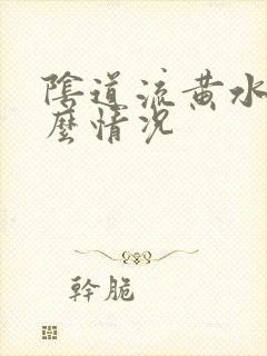 阴道流黄水是什么情况