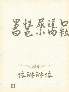 男性尿道口边有白色小肉粒