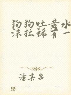 狗狗吐黄水带泡沫拉稀有一点带血