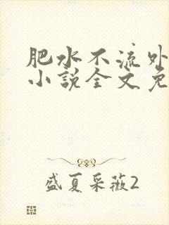 肥水不流外人田小说全文免费阅读1