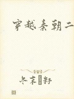 穿越秦朝二公子封面