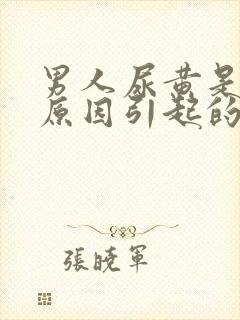 男人尿黄是什么原因引起的