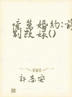 亿万婚约:前妻别改嫁()