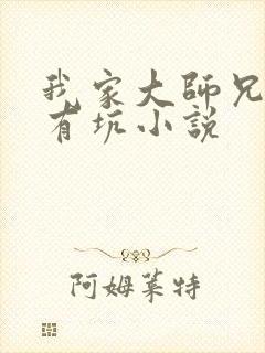 我家大师兄脑子有坑小说