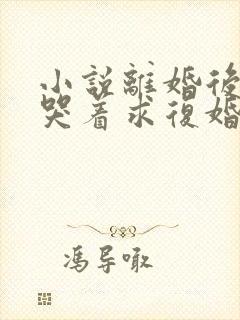 小说离婚后前夫哭着求复婚在线阅读