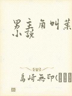 男主角叫叶旭的小说封面