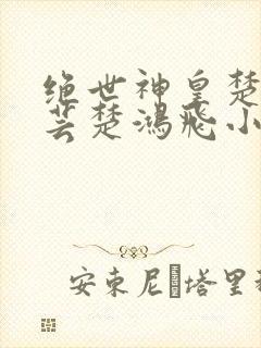 绝世神皇楚风楚芸楚鸿飞小说