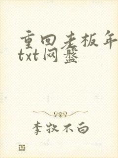重回老板年少时txt网盘