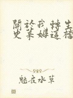 关于我转生成为史莱姆这档事oad