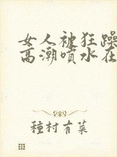 女人被狂躁c到高潮喷水在线看