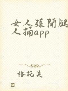 女人张开腿让男人捅app