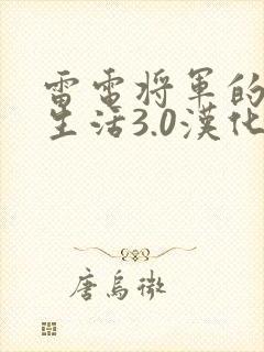 雷电将军的俘虏生活3.0汉化封面