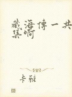 藏海传一共多少集啊