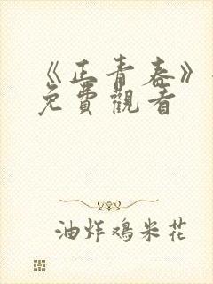 《正青春》全集免费观看