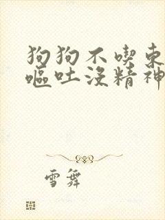 狗狗不吃东西还呕吐没精神只喝水怎么办