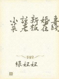 小说新婚妻子与菜老板在线阅读小说