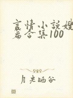 言情小说嫂子短篇合集100