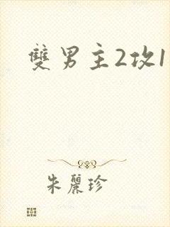 双男主2攻1受