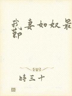 我妻如奴最新章节