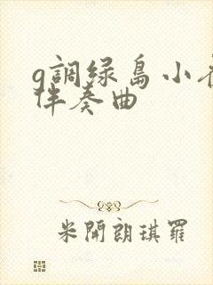 g调绿岛小夜曲伴奏曲封面