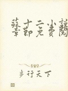 苏十二小说最新章节免费阅读