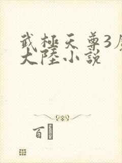 武极天尊3魔方大陆小说