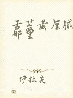 舌苔黄厚腻针灸哪里