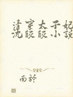 清穿太子妃康熙沈皎皎小说4