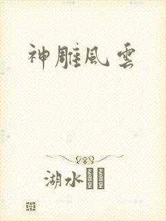 神雕风云封面