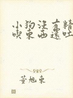 小狗没有精神不吃东西还吐怎么办