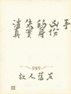 消失的凶手赵伦真实身份