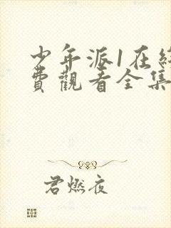 少年派1在线免费观看全集