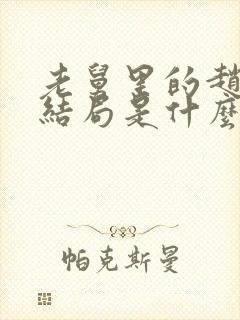 老舅里的赵海龙结局是什么封面