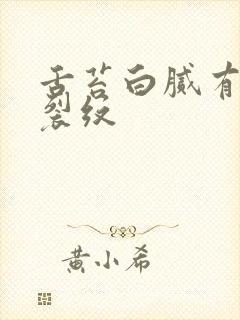 舌苔白腻有齿痕裂纹