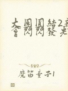 大团圆结2亲情会闪闪发光亲情会2