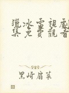 猎冰电视剧40集免费观看