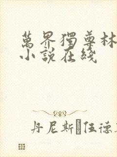 万界独尊林枫林小说在线