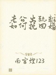 老公出轨离婚后如何挽回婚姻