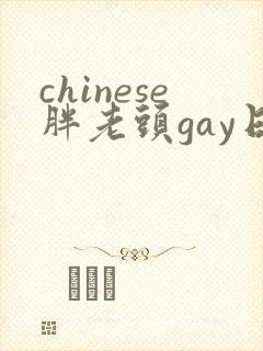 chinese胖老头gay日本封面