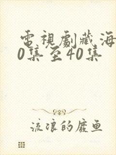 电视剧藏海传20集至40集