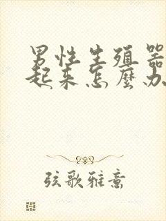 男性生殖器勃不起来怎么办封面