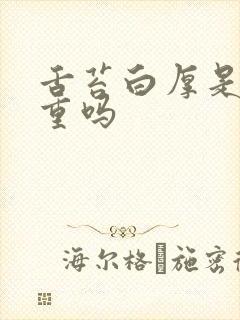 舌苔白厚是湿气重吗