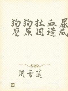 狗狗拉血尿是什么原因造成的