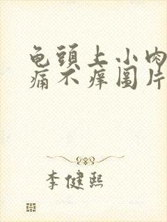 龟头上小肉粒不痛不痒图片