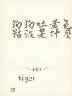 狗狗吐黄色泡沫粘液是什么原因