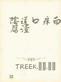 阴道口痒白带豆腐渣封面