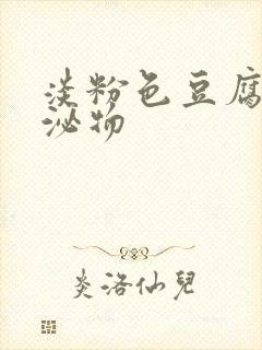 淡粉色豆腐渣分泌物