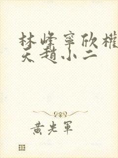 林峰宁欣权势滔天赵小二