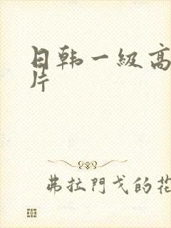 日韩一级高清黄片