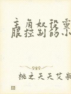 主角奴役灵魂收服控制的小说